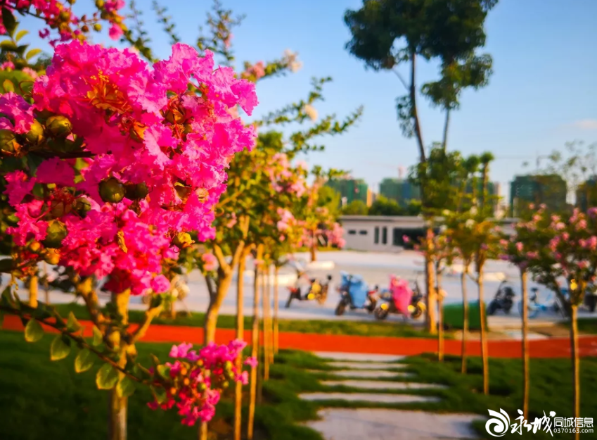 1566402821806578.png 12.png