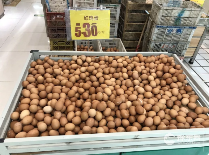 1566835661453481.png 永城鸡蛋.png