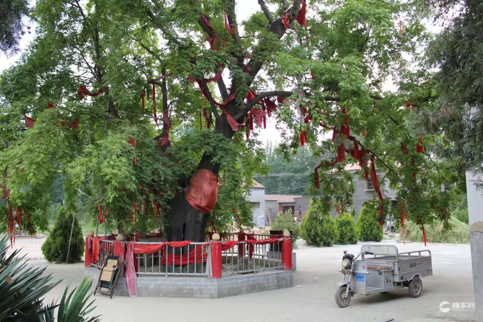 1567064910233193.jpg 1.jpg