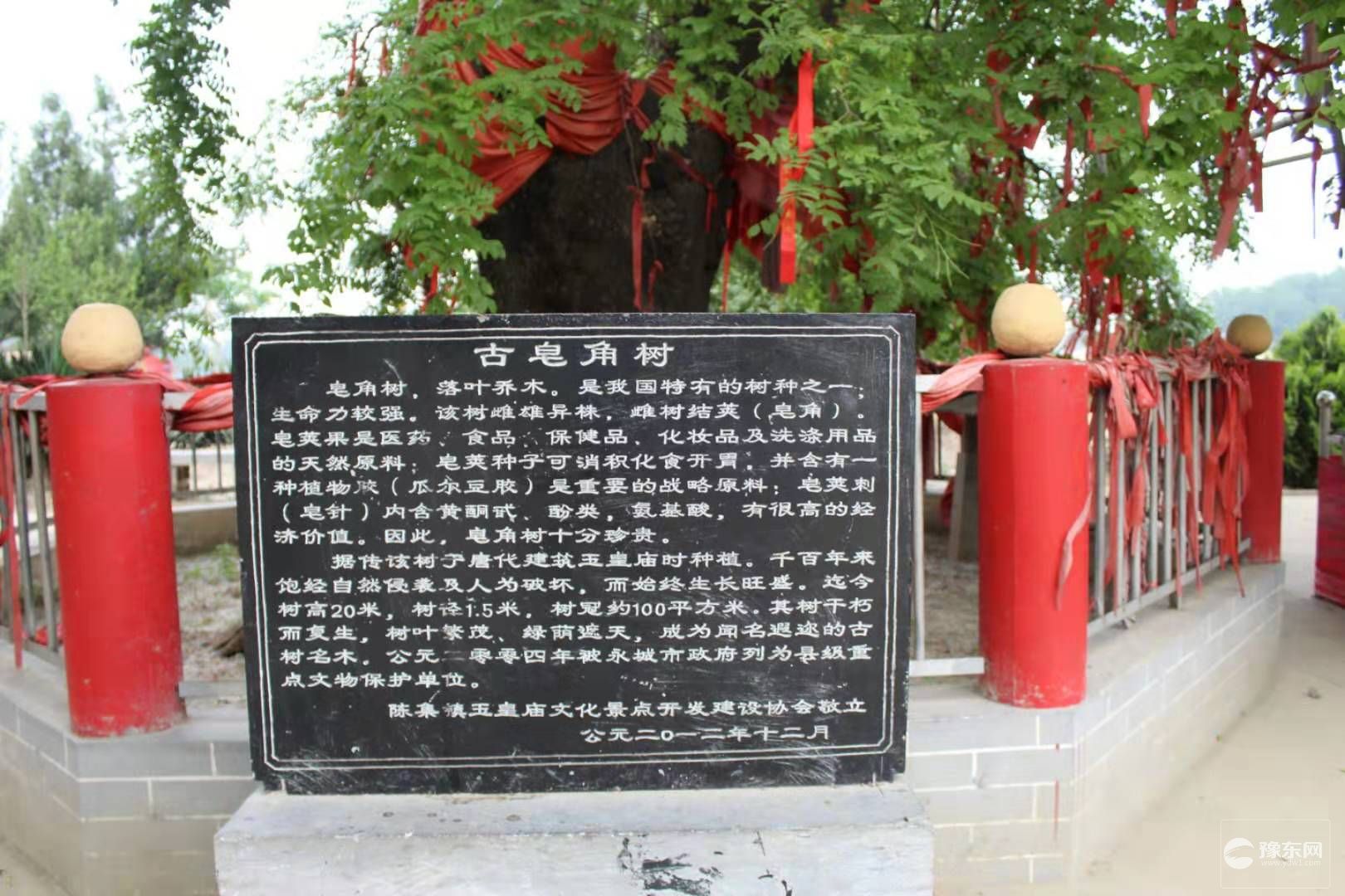 1567064923659329.jpg 2.jpg