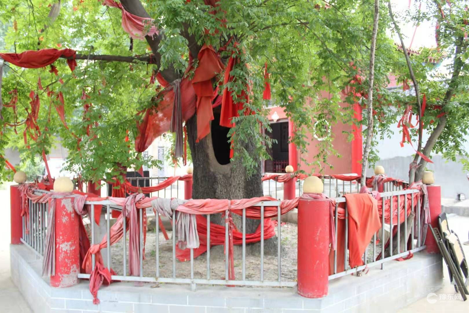 1567064959655902.jpg 3.jpg