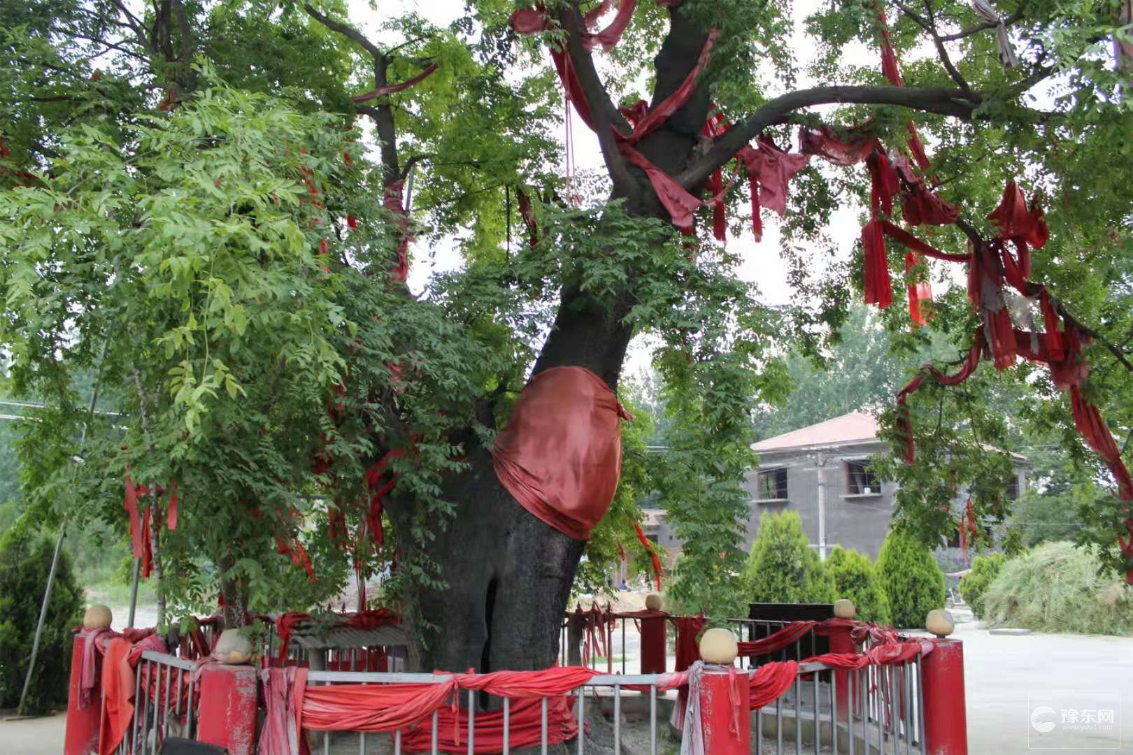 1567064979924350.jpg 4.jpg