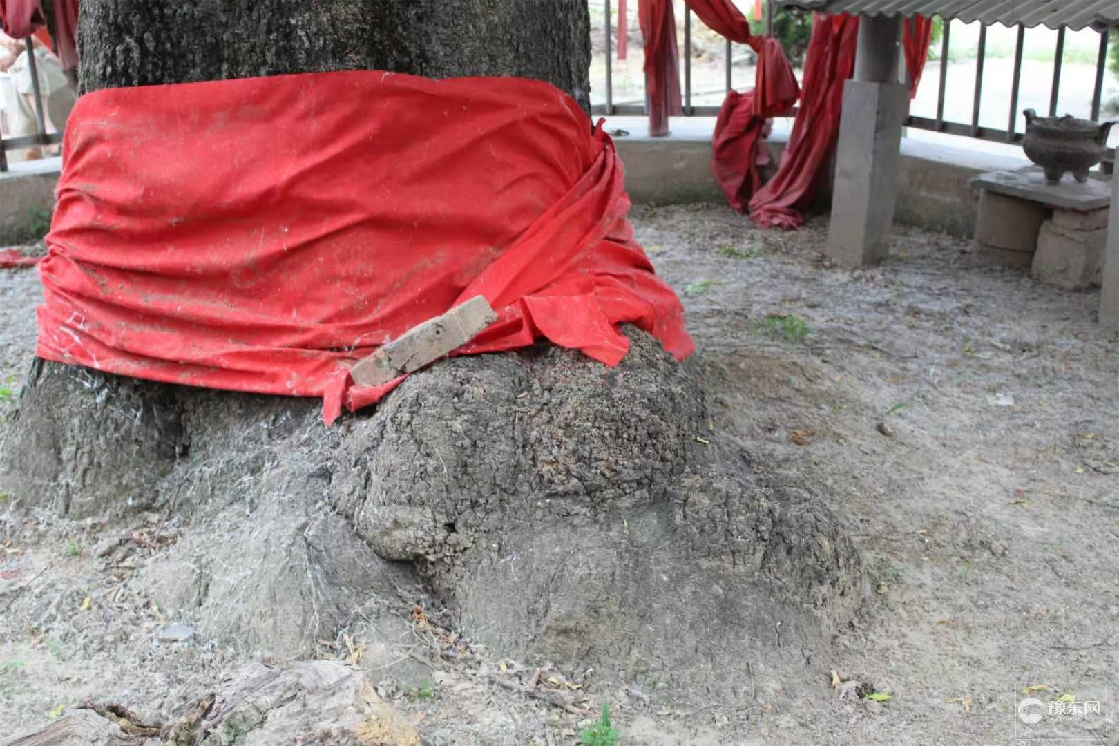 1567064996942721.jpg 5.jpg