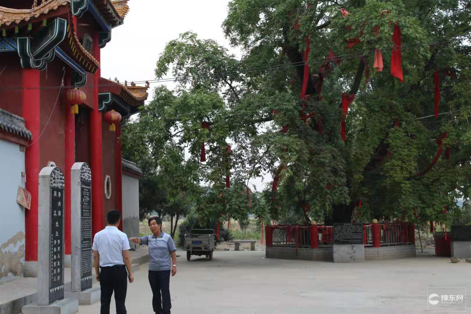 1567065032920966.jpg 6.jpg