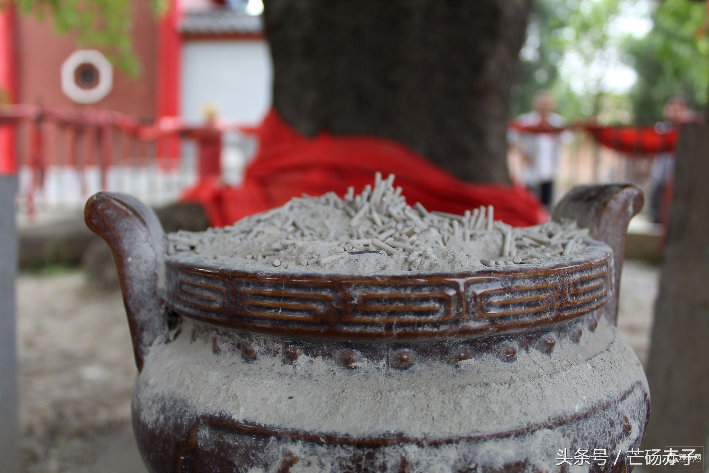 1567065048909022.jpg 7.jpg