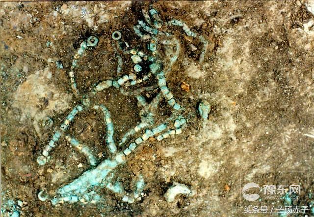 1567065697703445.jpg 1533713342911d6ebf8403b.jpg