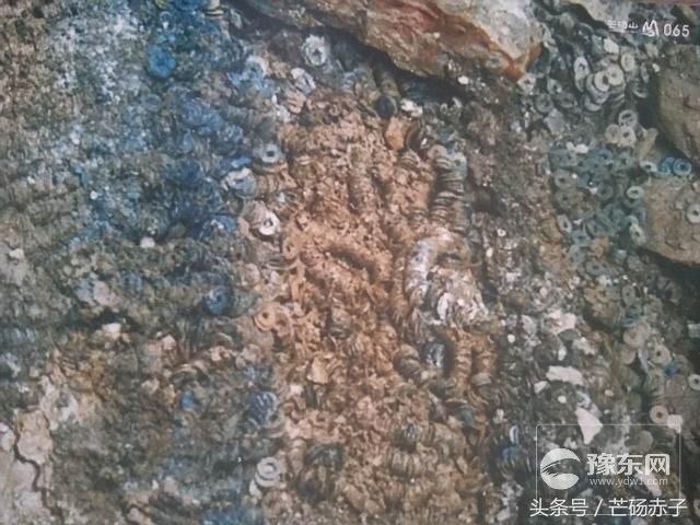 1567065704881563.jpg 1533713425218c7dc09f3b2.jpg