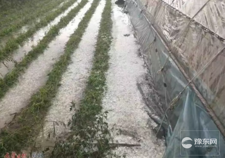 1567144616861335.png 2.png