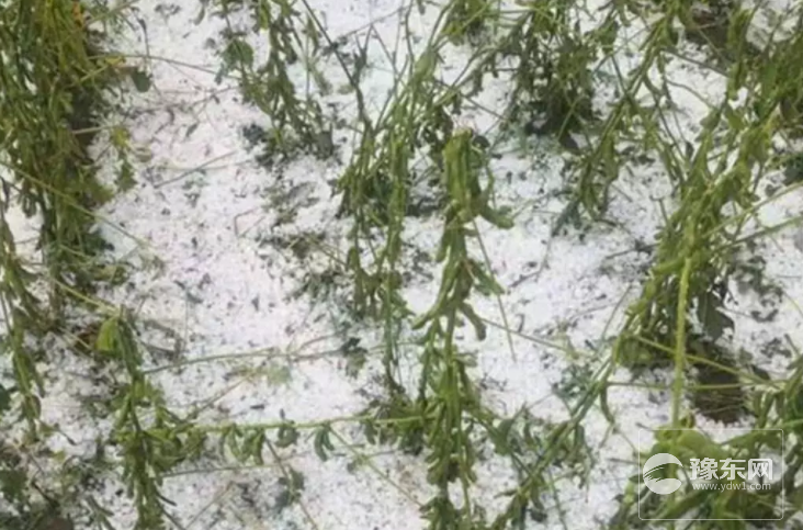 1567144655617405.png 3.png