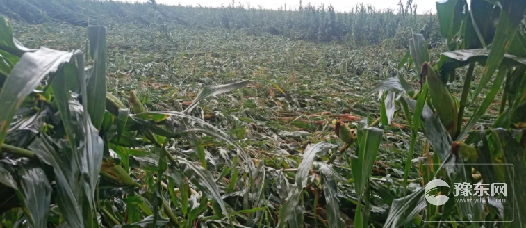 1567144665726621.png 5.png