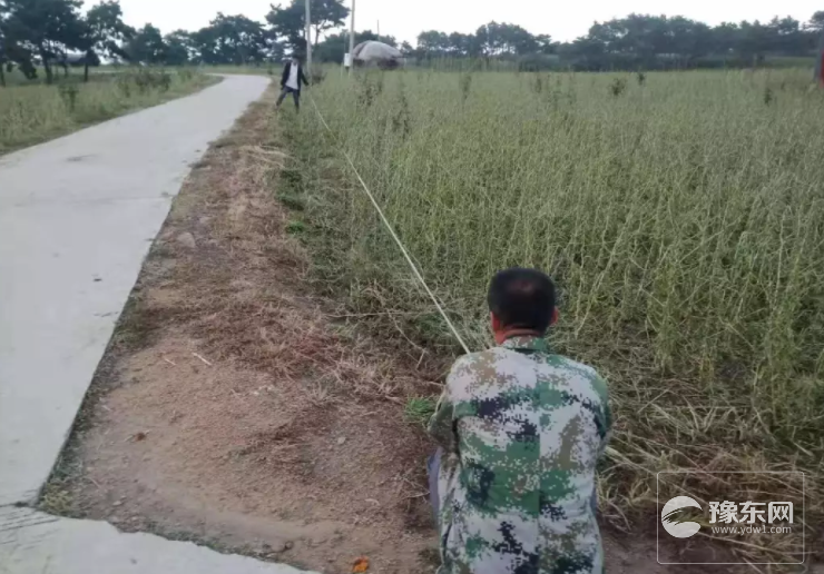 1567144675116387.png 7.png