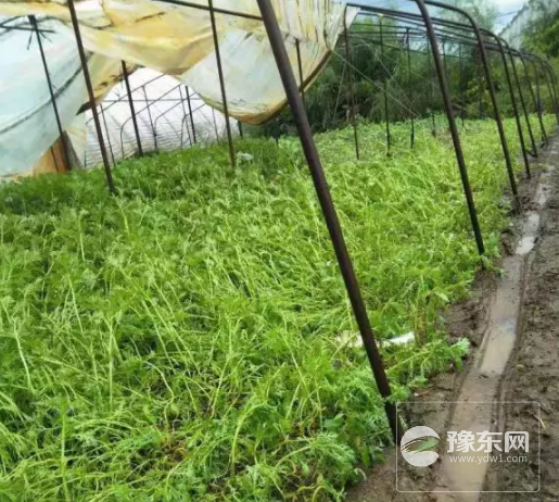 1567144679515335.png 8.png